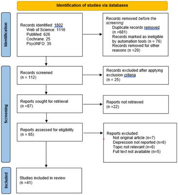 Depression in persons with disabilities: a scoping review